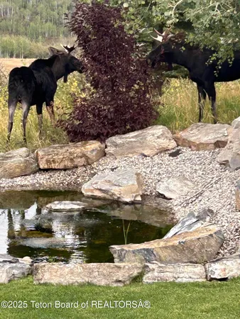 $4,500,000 | 785 Strawberry Hills Drive, Thayne, WY 83127