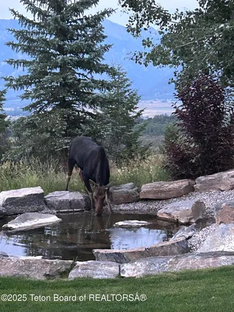 $4,500,000 | 785 Strawberry Hills Drive, Thayne, WY 83127