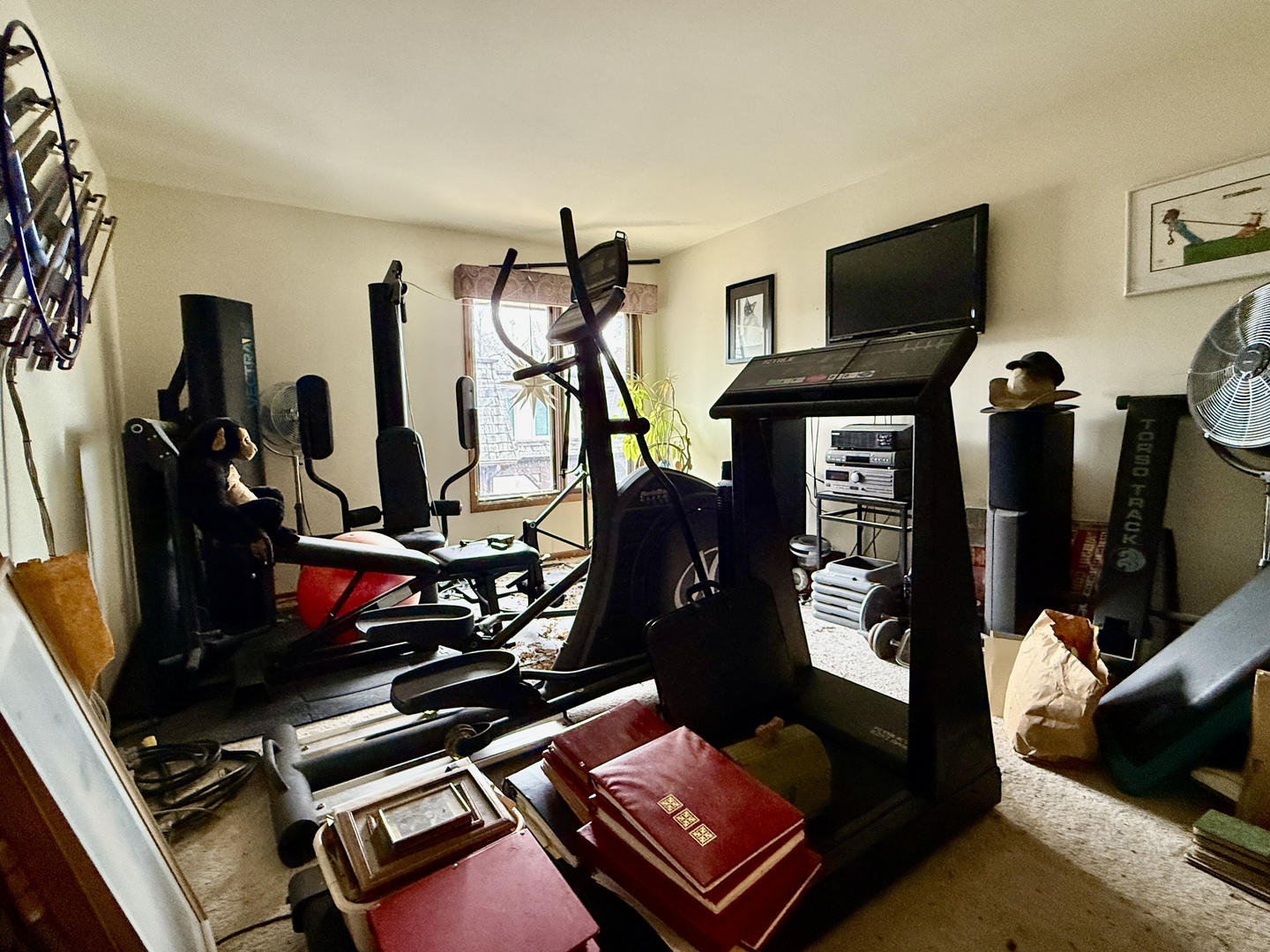 1545 Winnetka Road, Unit 1545 Glenview, IL 60025 - Photo 12 of 14 a room with gym equipment and a flat screen tv