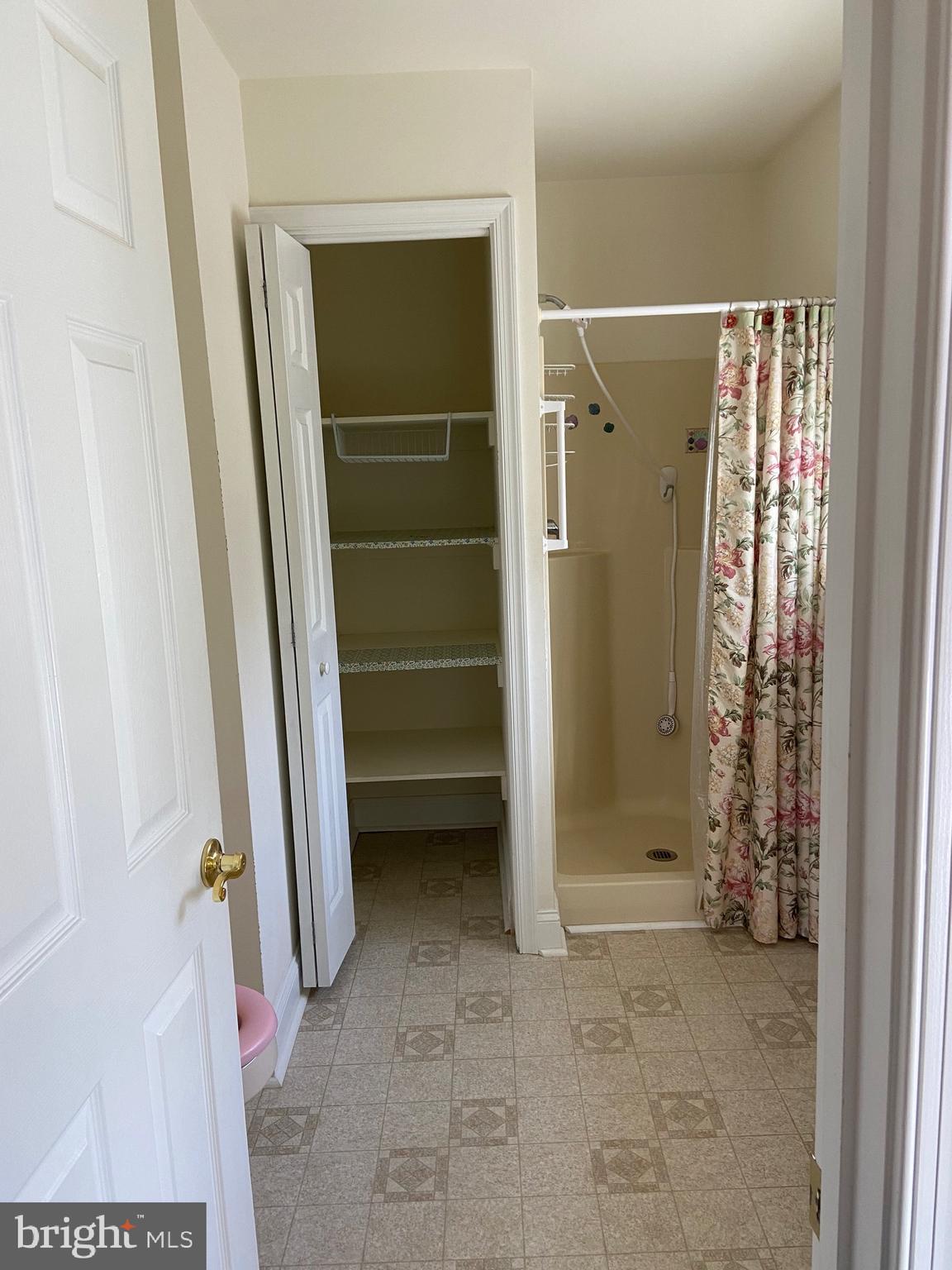 22123 Hackney Circle Lincoln, DE 19960 - Photo 13 of 30 primary bath