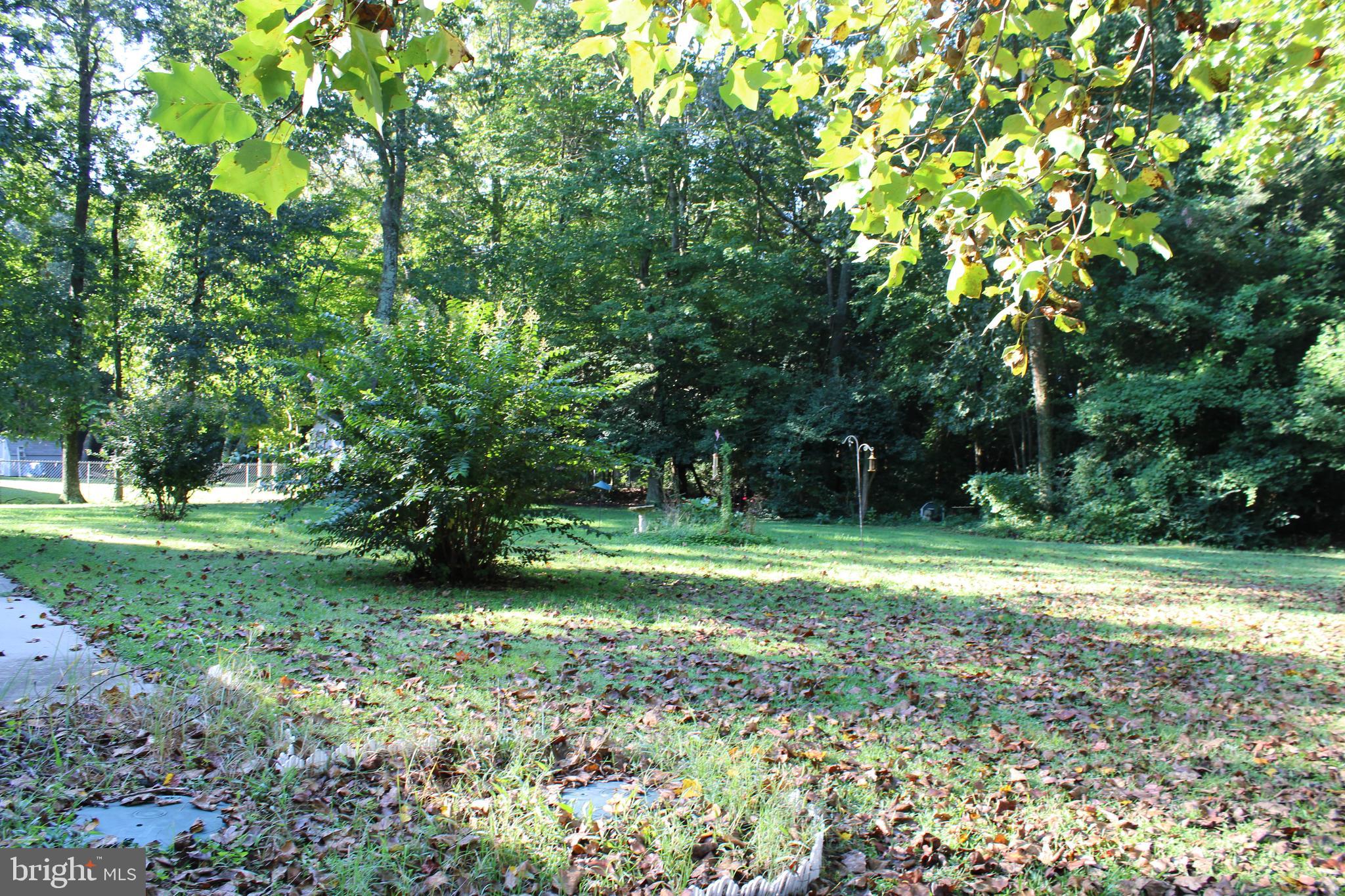 22123 Hackney Circle Lincoln, DE 19960 - Photo 7 of 30