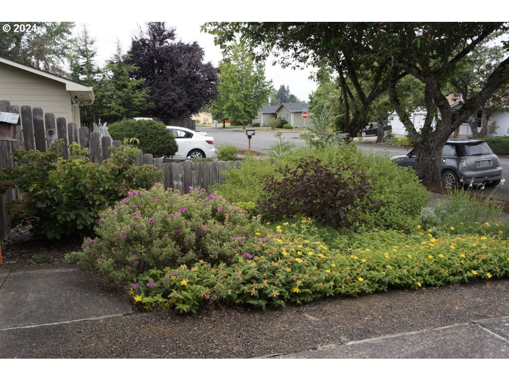 5637 E Street Springfield, OR 97478 - Photo 27 of 27 a view of a garden with plants and large trees