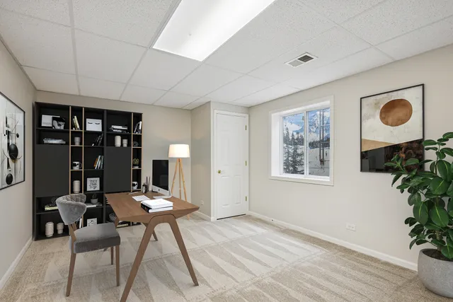 a living room with furniture and potted plant