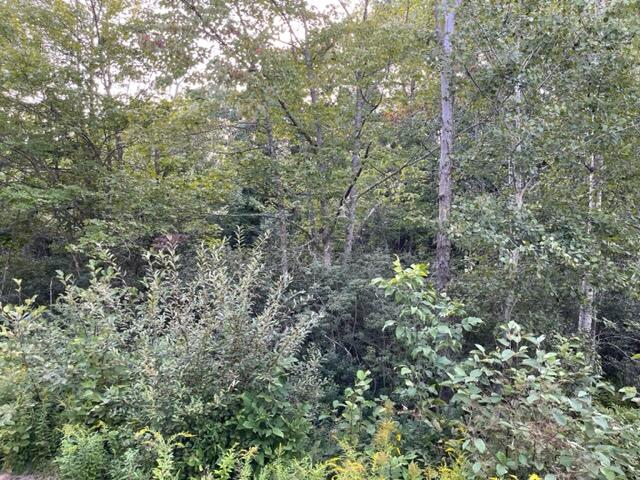 5 Bog Road Hermon, ME 04401 - Photo 4 of 5 IMG_3232