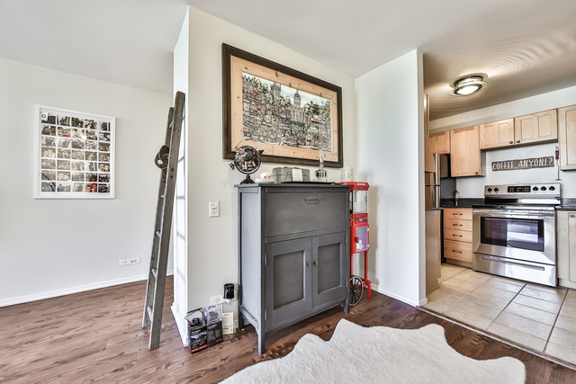 1030 North State Street, Unit 20D Chicago, IL 60610 - Photo 13 of 22 a living room with stainless steel appliances furniture a fireplace and a flat screen tv