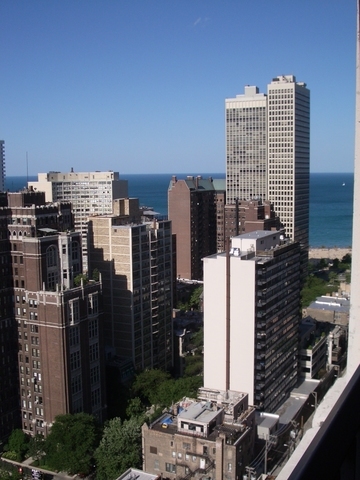 1030 North State Street, Unit 20D Chicago, IL 60610 - Photo 6 of 22