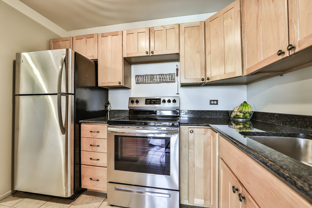 1030 North State Street, Unit 20D Chicago, IL 60610 - Photo 8 of 22 a kitchen with stainless steel appliances granite countertop a refrigerator sink and cabinets