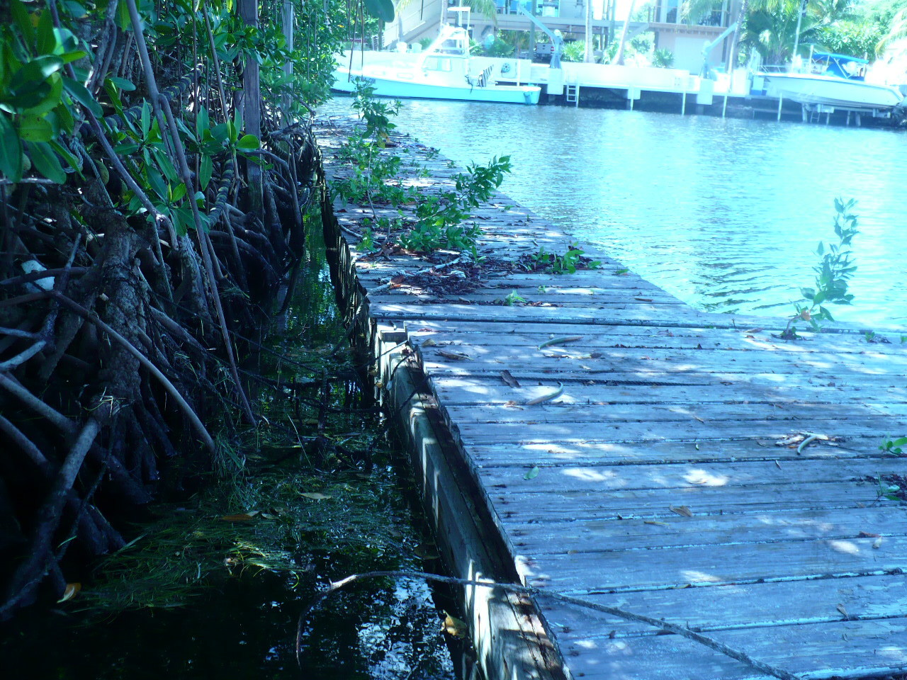 42 Andros Road Key Largo, FL 33037 - Photo 3 of 31 P1140089