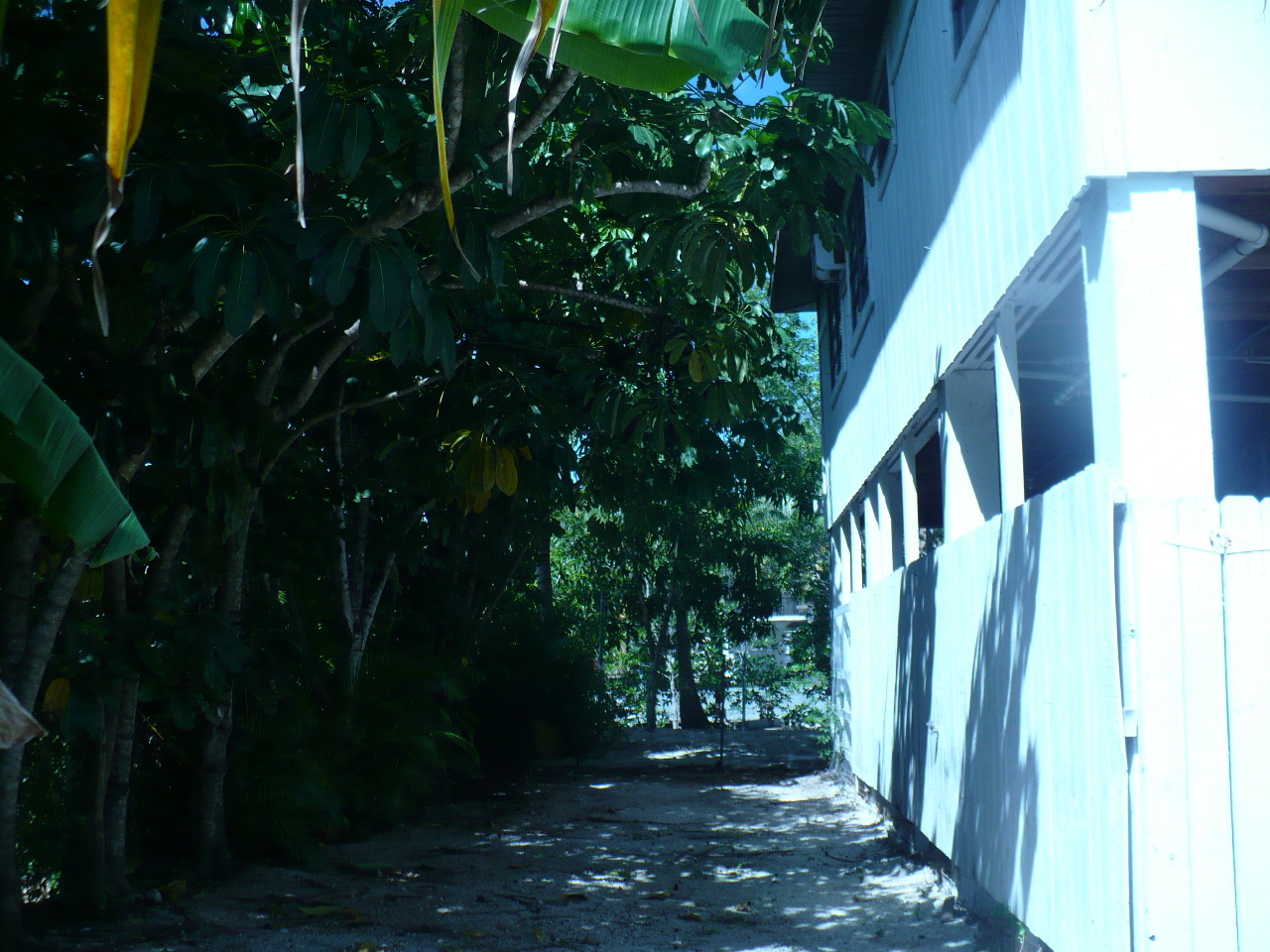 42 Andros Road Key Largo, FL 33037 - Photo 30 of 31 P1140048