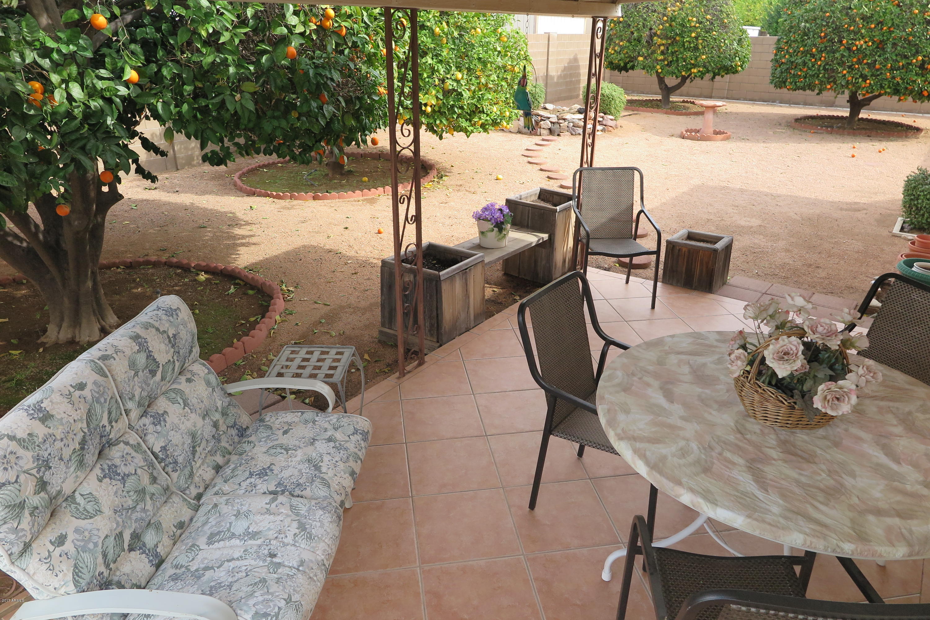 5624 East Decatur Street Mesa, AZ 85205 - Photo 10 of 13 IMG_4710