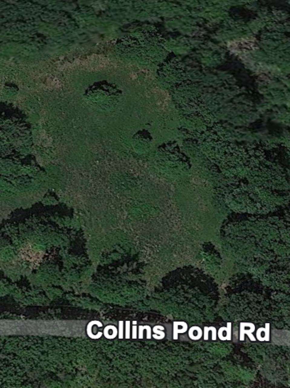 0 Collins Pond Road Fitzwilliam, NH 03447 - Photo 5 of 5 Gallery Image 5