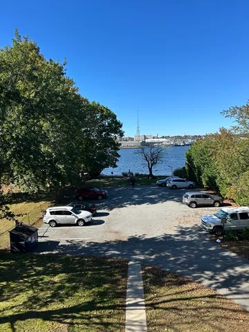 a view of a yard with a tree