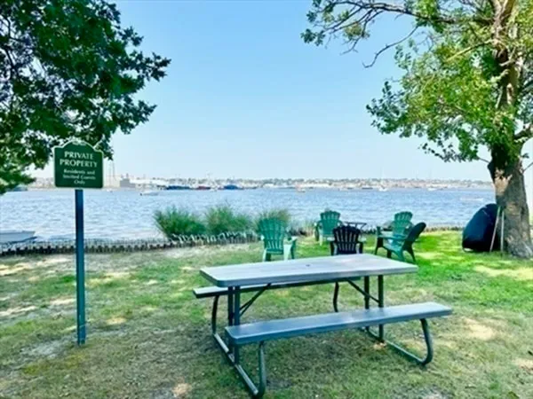 a view of a bench in the garden near a lake