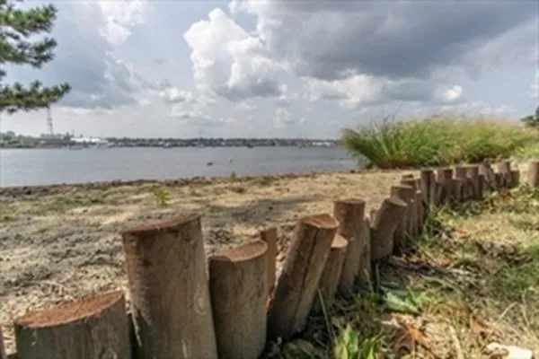 a view of an ocean and beach