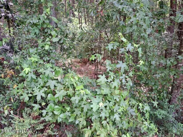 $95,000 | 0 Colonial Drive Northeast, Magee, MS 39111