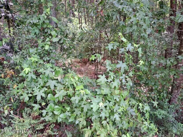 $95,000 | 0 Colonial Drive Northeast, Magee, MS 39111