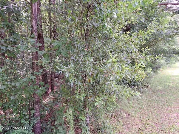 $95,000 | 0 Colonial Drive Northeast, Magee, MS 39111