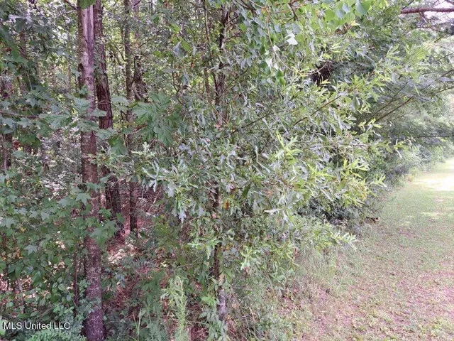 $95,000 | 0 Colonial Drive Northeast, Magee, MS 39111