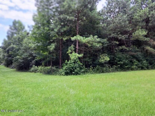 $95,000 | 0 Colonial Drive Northeast, Magee, MS 39111