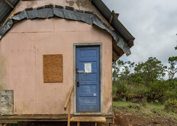 a house with trees in front of it