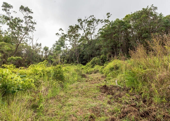 59 Kaiwiki Road Hilo, HI 96720 - Photo 11 of 22 a view of a garden