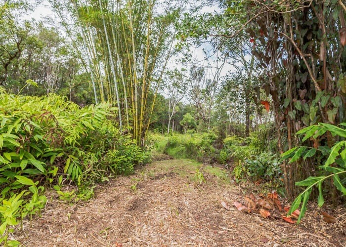 59 Kaiwiki Road Hilo, HI 96720 - Photo 12 of 22 a view of a garden with plants