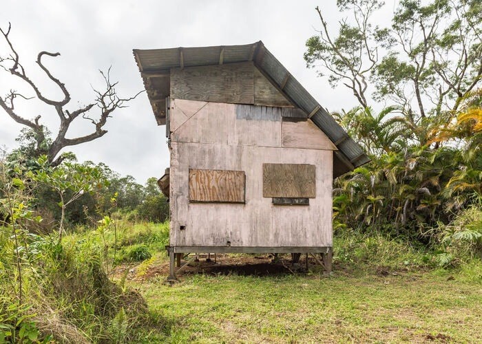 59 Kaiwiki Road Hilo, HI 96720 - Photo 8 of 22 a backyard of a house with lots of green space