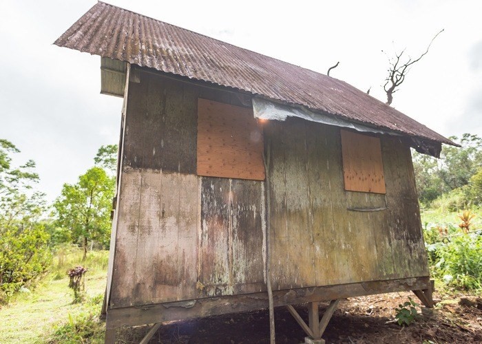 59 Kaiwiki Road Hilo, HI 96720 - Photo 9 of 22 a backyard of a house