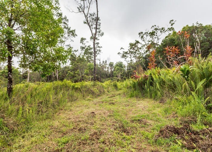 59 Kaiwiki Road Hilo, HI 96720 - Photo 10 of 22