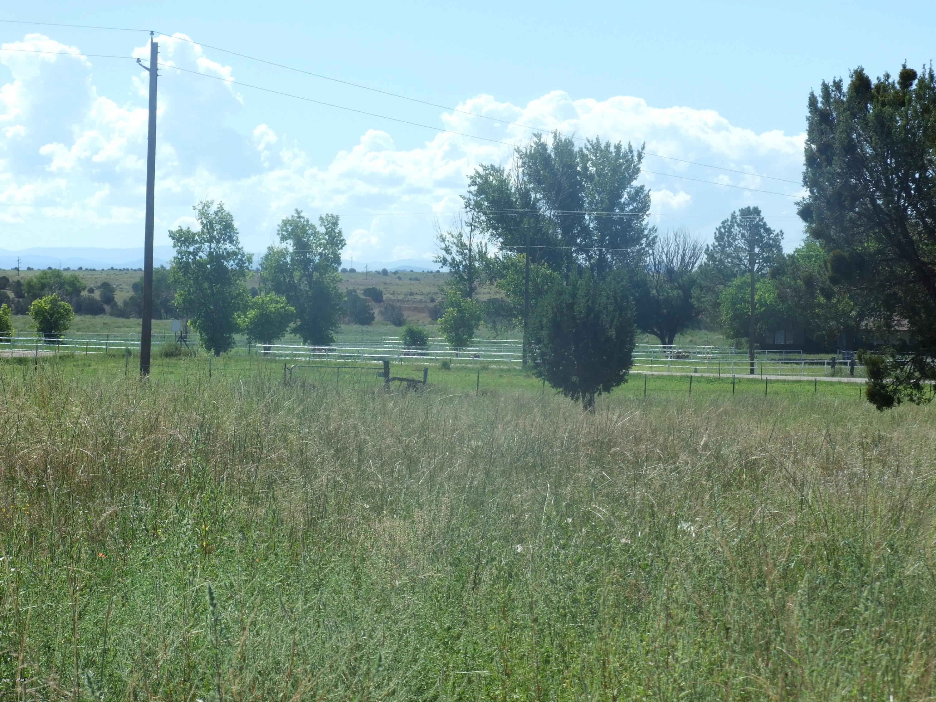 202-21-003 Paper Mill Road Snowflake, AZ 85937 - Photo 4 of 5