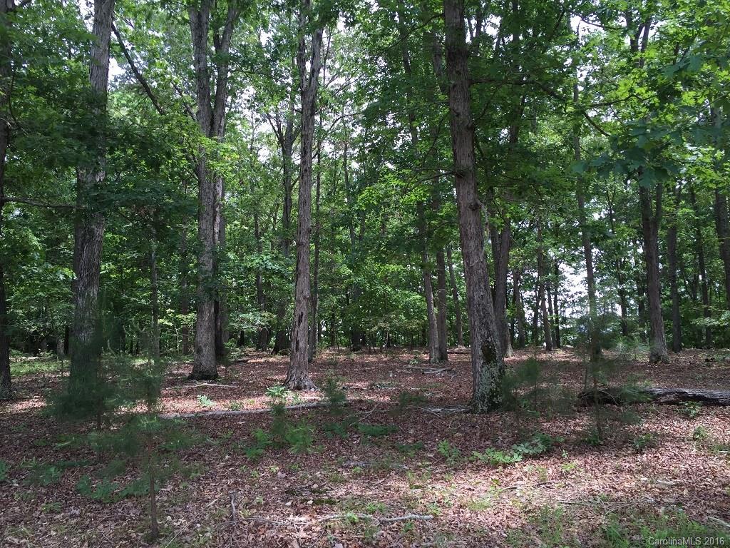 1538 Springsteen Road Rock Hill, SC 29730 - Photo 2 of 2 Gallery Image 2