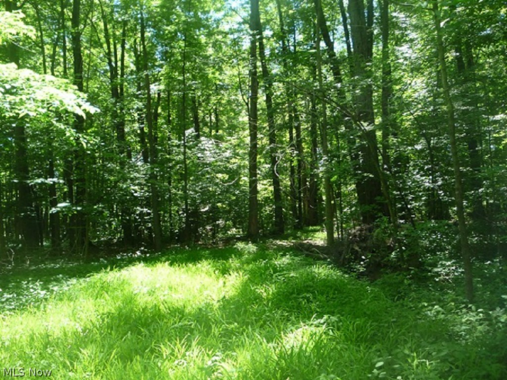 6295 Wolff Road Medina, OH 44256 - Photo 23 of 25 Gallery Image 23