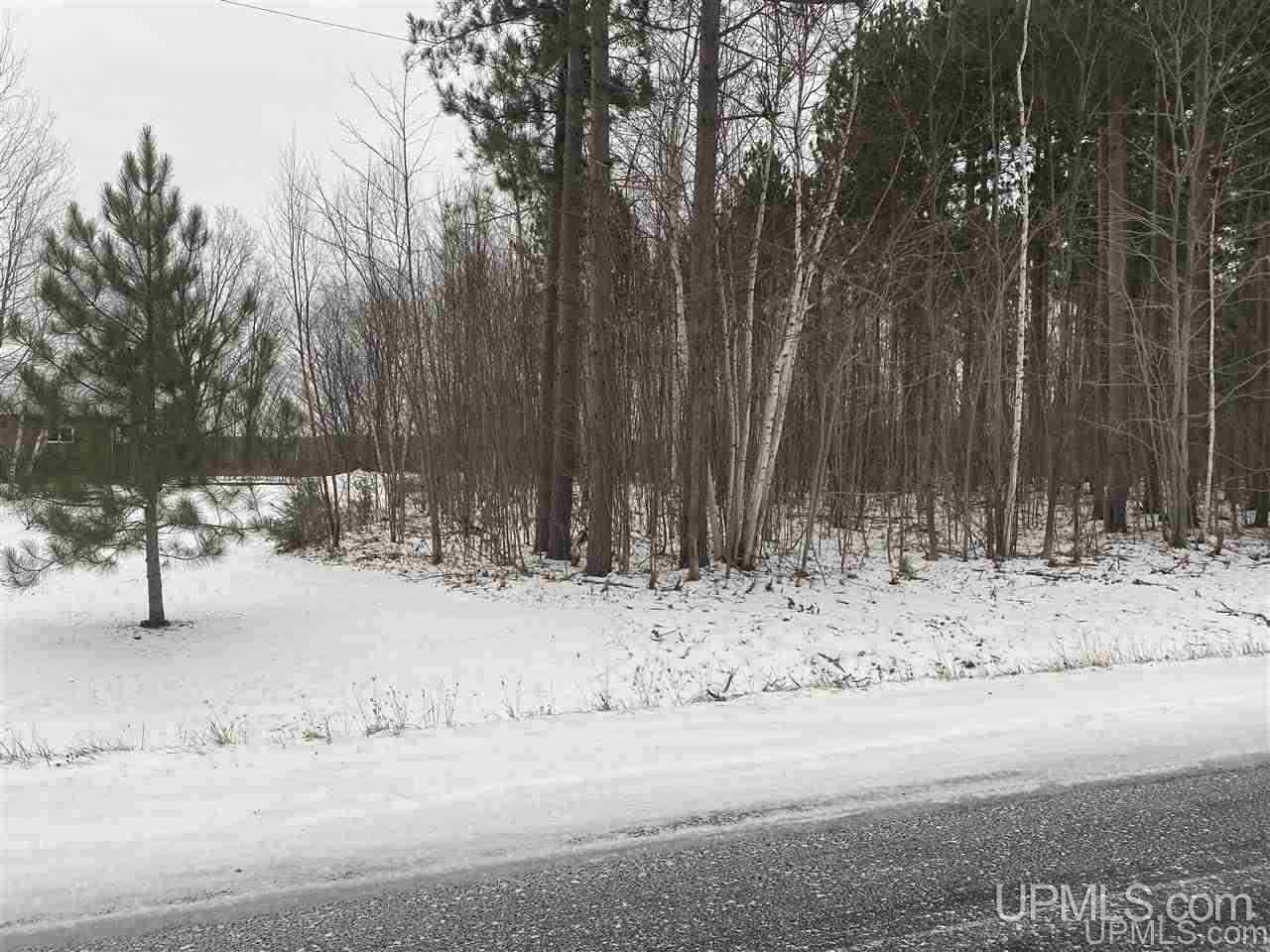 1-2 3 4 Norwich Road Ontonagon, MI 49953 - Photo 2 of 6