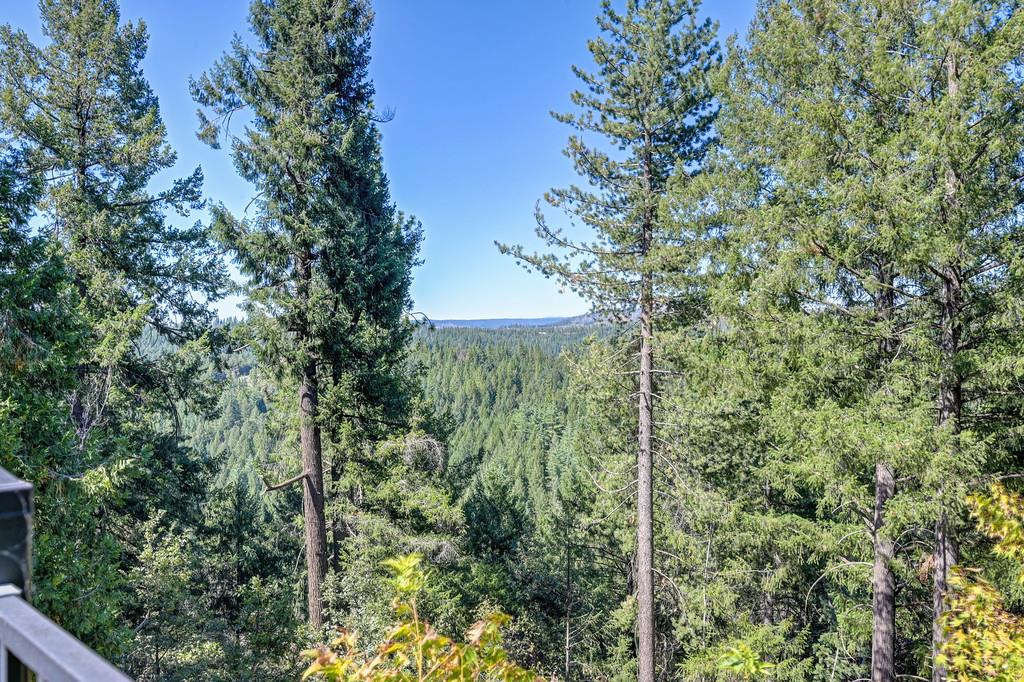 7040 Goferbroke Road Georgetown, CA 95634 - Photo 6 of 50 Amazing forest and mountain views