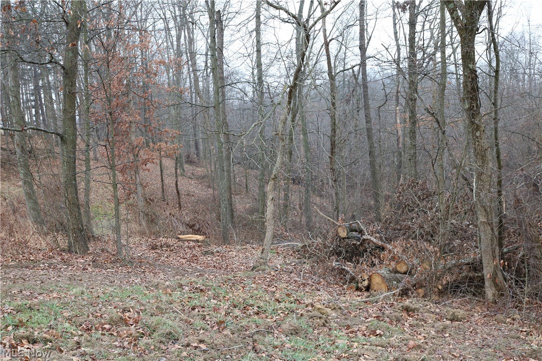 4700 Fostor Road Dresden, OH 43821 - Photo 24 of 30 Gallery Image 24