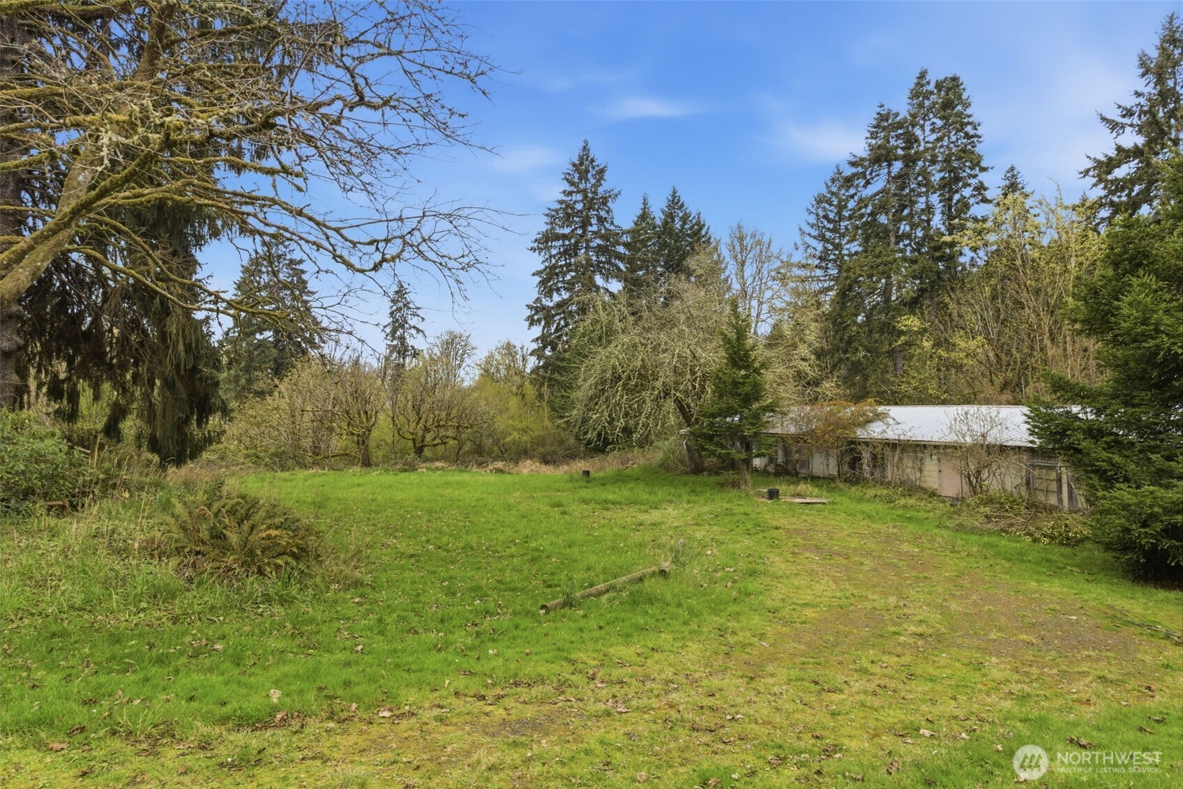 3141 Harris Street Road Kelso, WA 98626 - Photo 23 of 29