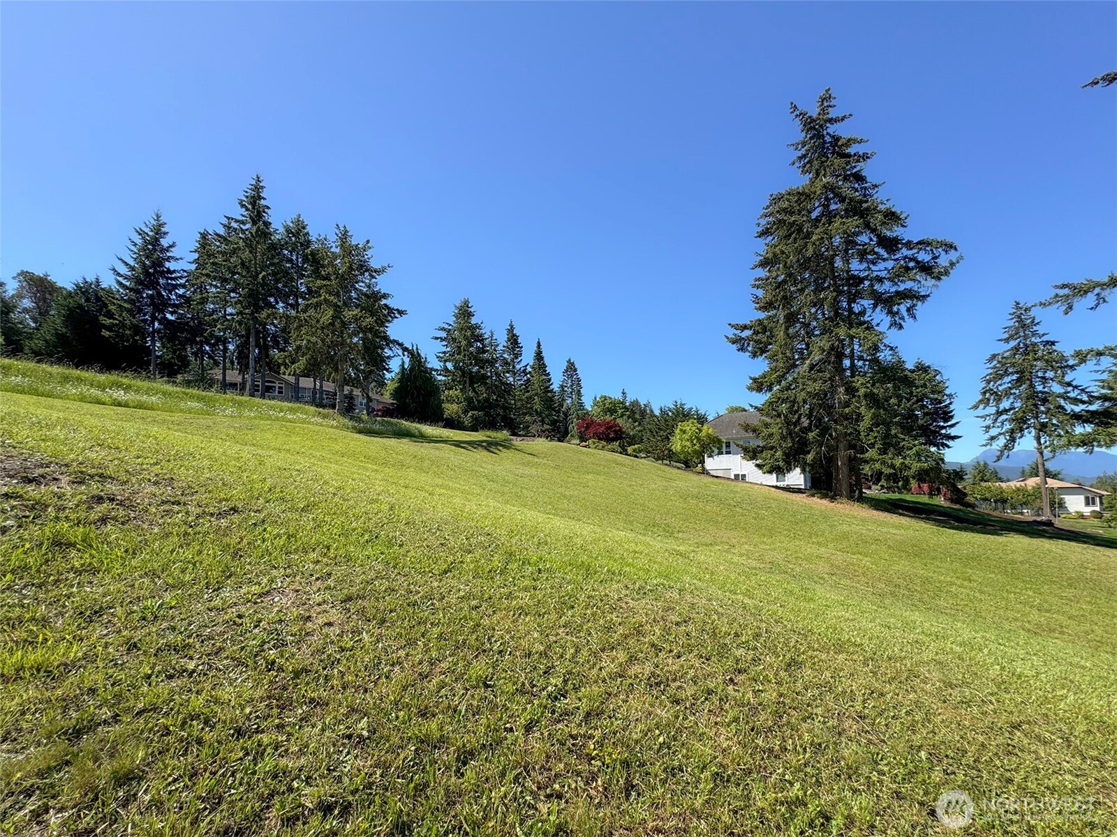 1 Owls Nest Road Sequim, WA 98382 - Photo 26 of 31 a view of a field with an trees in the background