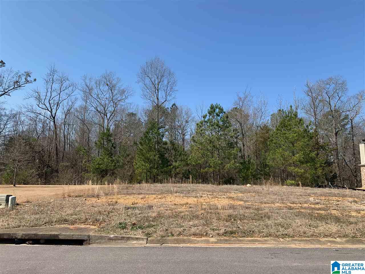 420 Red Bay Cove, Unit 33 Alabaster, AL 35114 - Photo 1 of 1