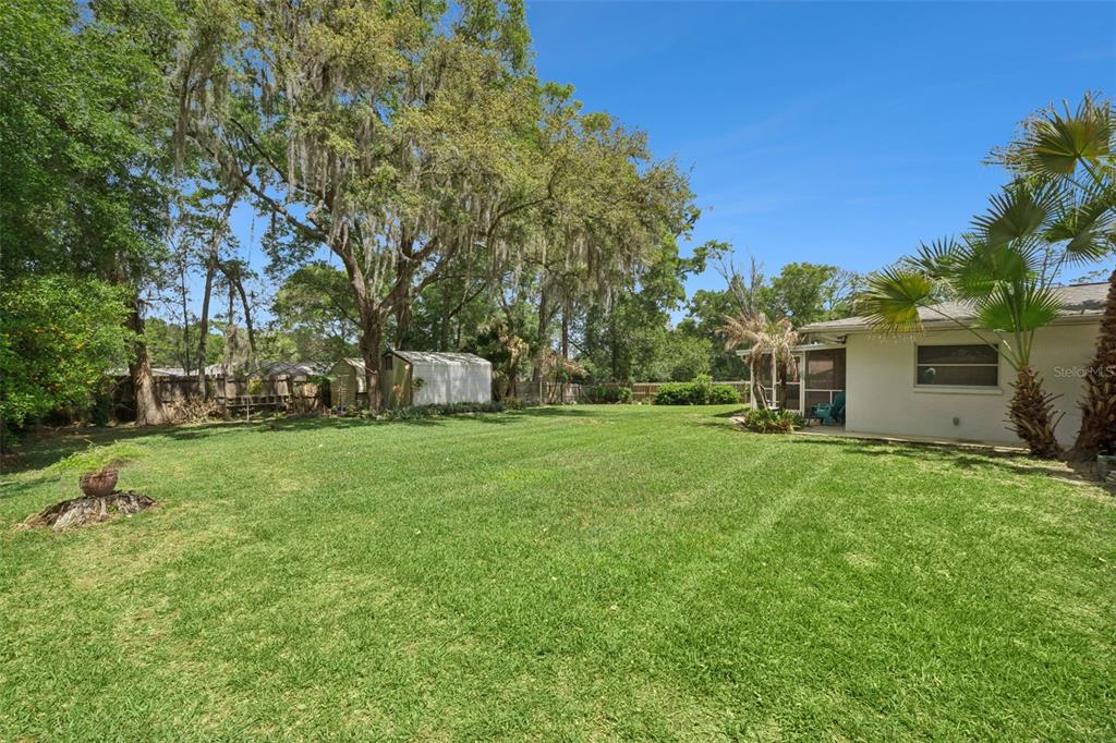 204 Iris Lane Inverness, FL 34452 - Photo 17 of 19