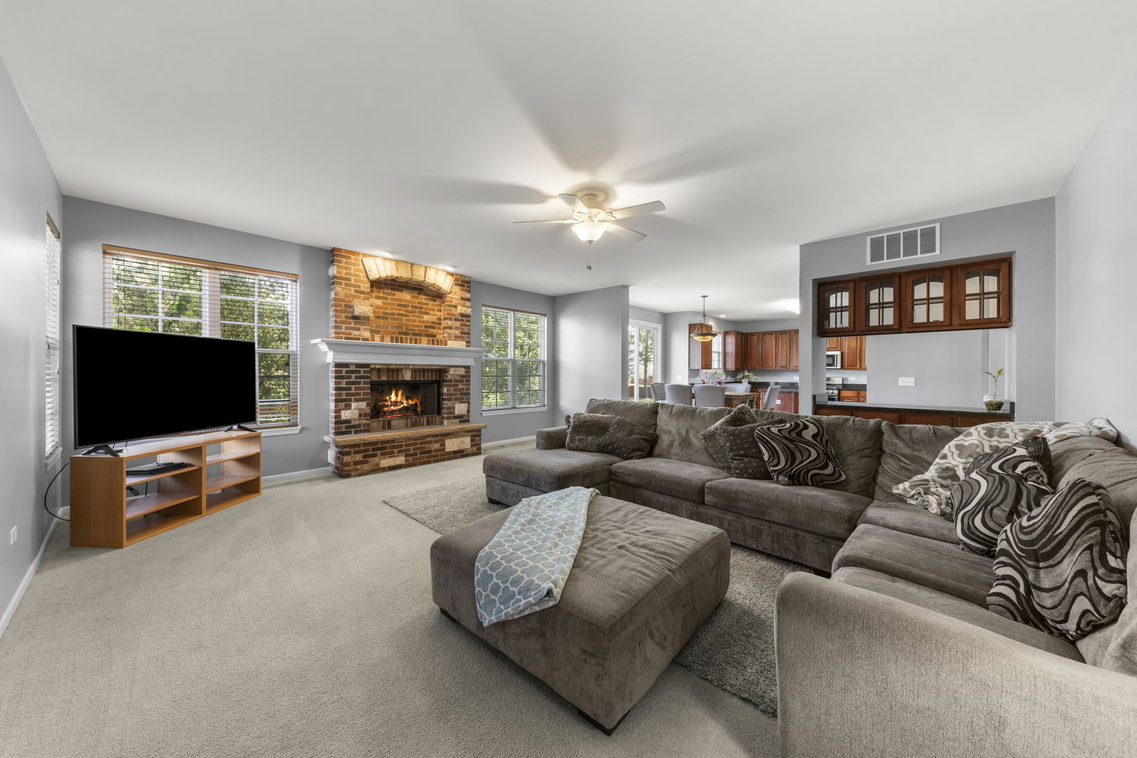 26210 Mapleview Drive Plainfield, IL 60585 - Photo 13 of 55 a living room with furniture a flat screen tv and a fireplace