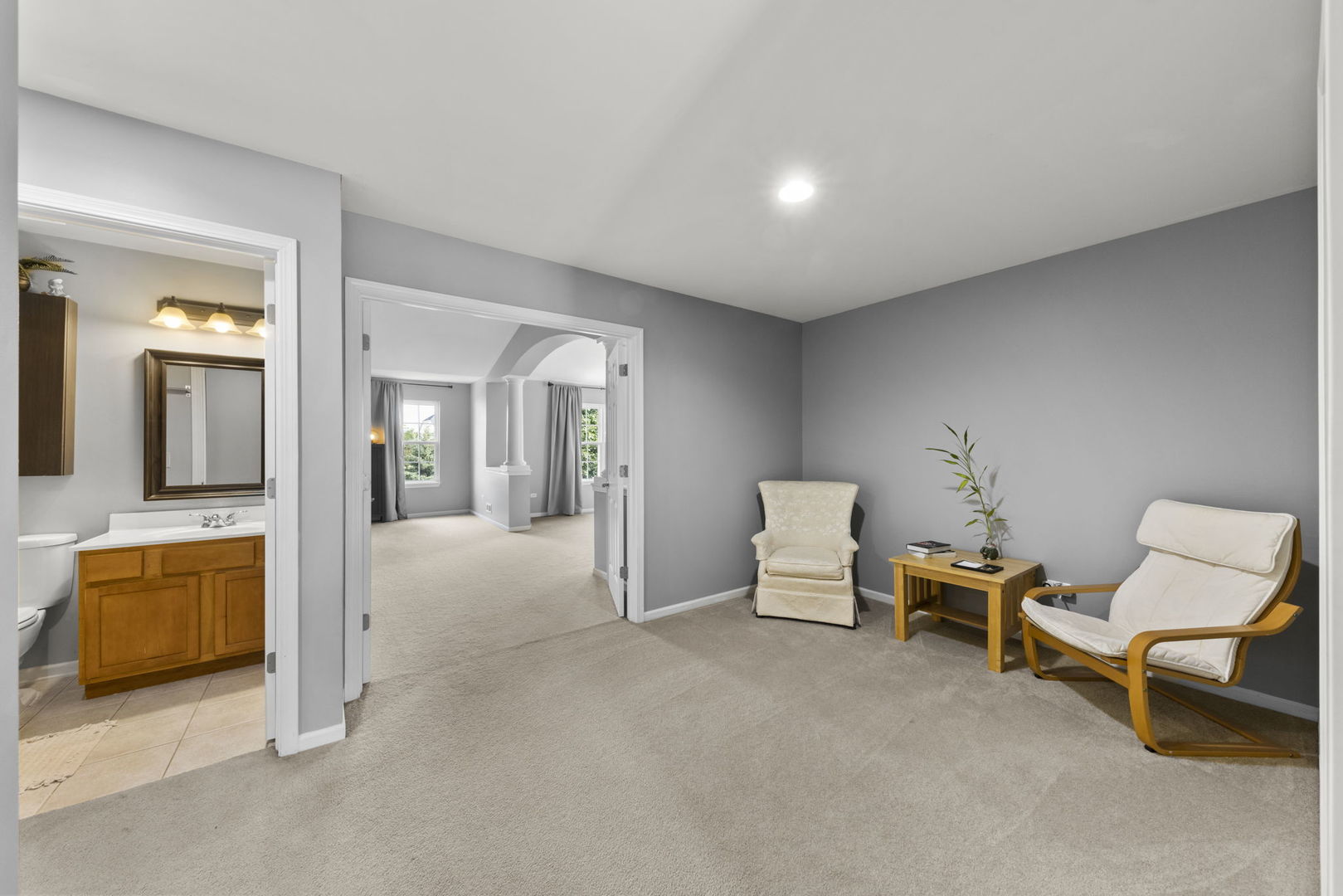 26210 Mapleview Drive Plainfield, IL 60585 - Photo 31 of 55 a view of a livingroom with furniture and a couch