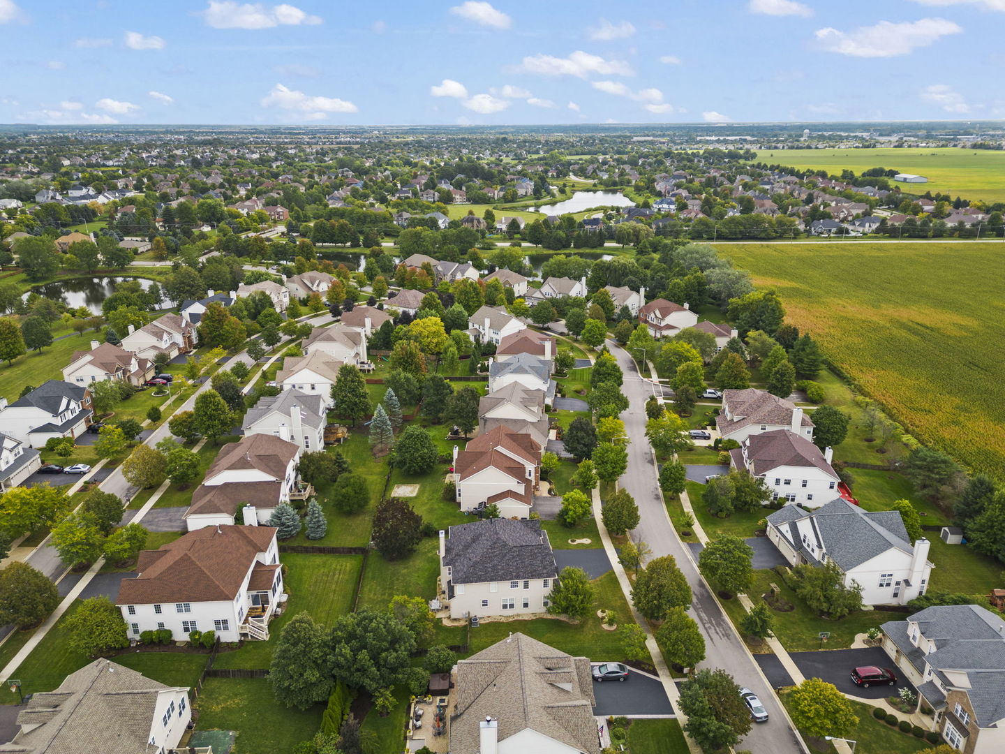 26210 Mapleview Drive Plainfield, IL 60585 - Photo 46 of 55 an aerial view of residential houses with outdoor space