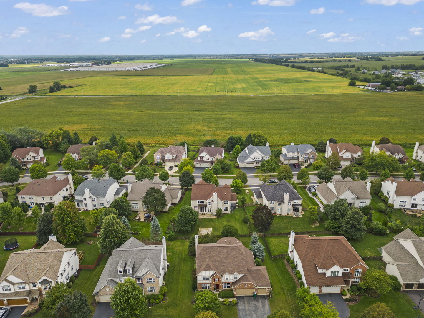 26210 Mapleview Drive Plainfield, IL 60585 - Photo 48 of 55