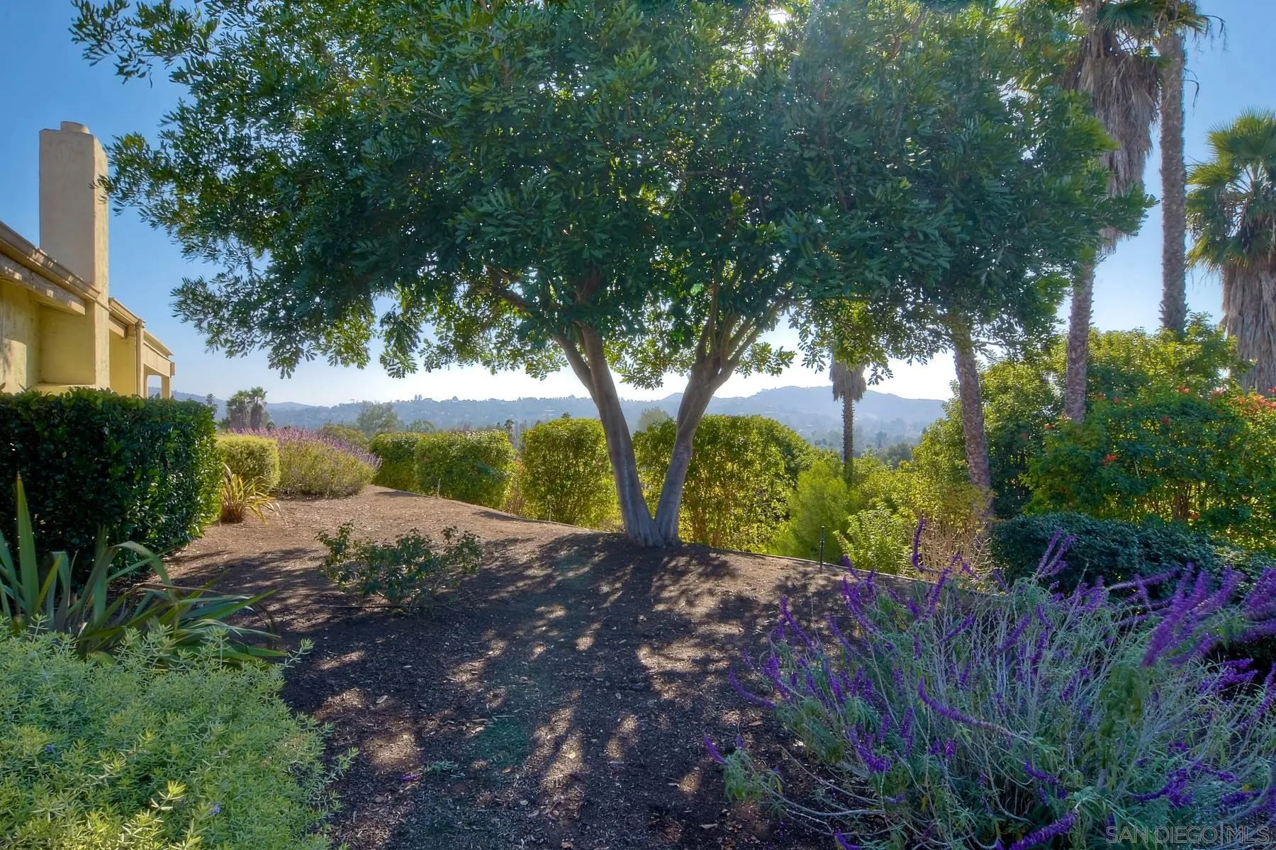 13416 The Square Poway, CA 92064 - Photo 2 of 35 a view of a backyard with large trees