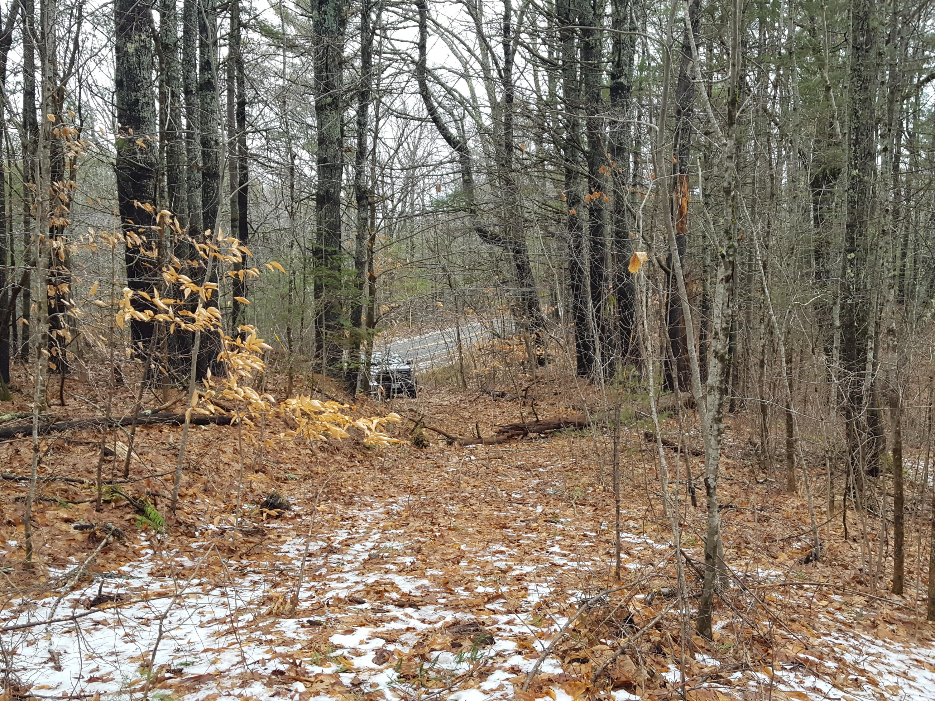 2200 Alna Road Alna, ME 04535 - Photo 59 of 59 20210117_110024