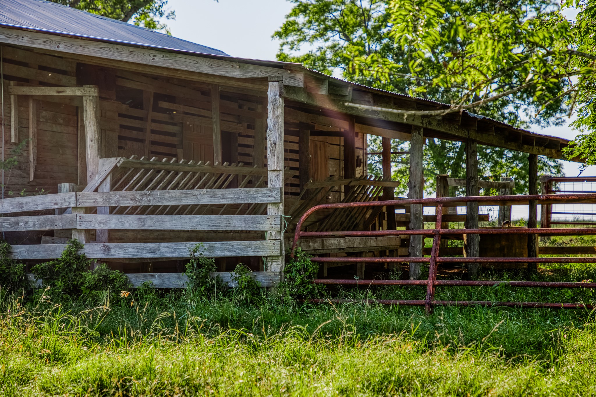 5005 Fuchs Road Burton, TX 77835 - Photo 7 of 12 a front view of a house with garden