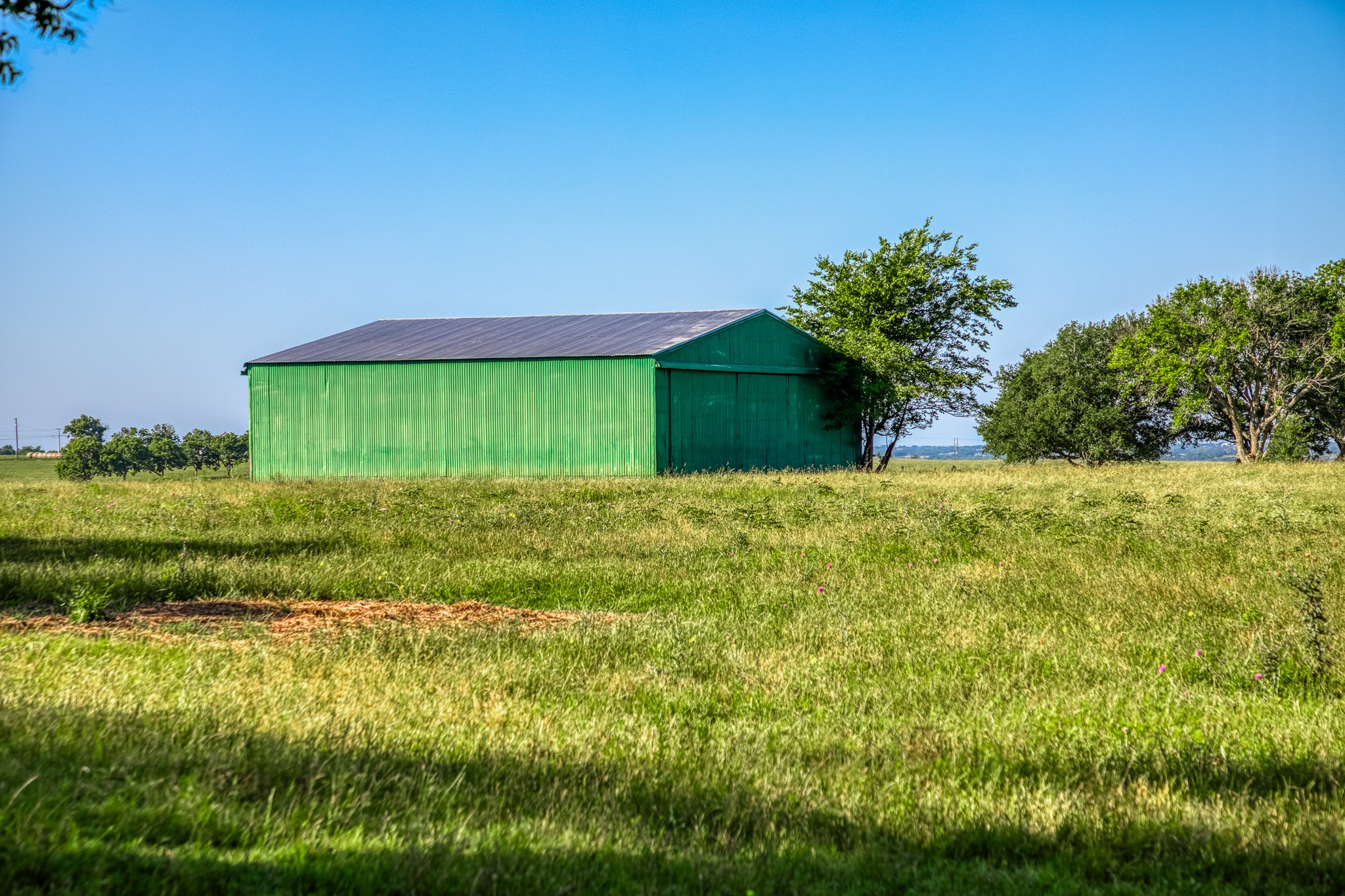 5005 Fuchs Road Burton, TX 77835 - Photo 9 of 12 a view of backyard with green space