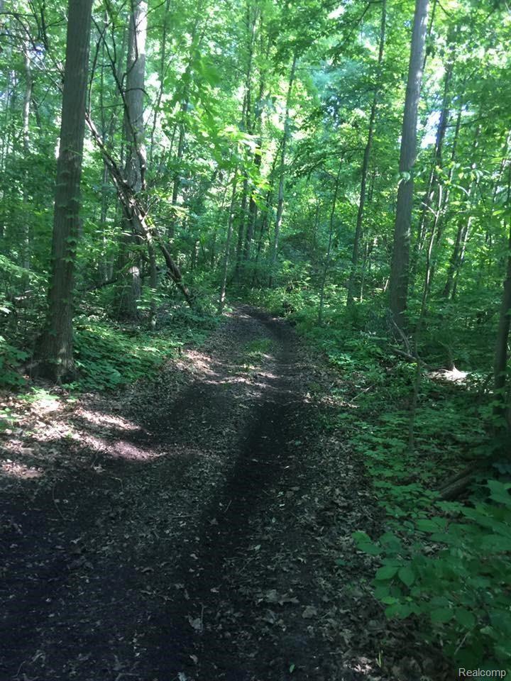 30965 Pennsylvania Road Romulus, MI 48174 - Photo 37 of 39 part of the 4.41 wooded acres