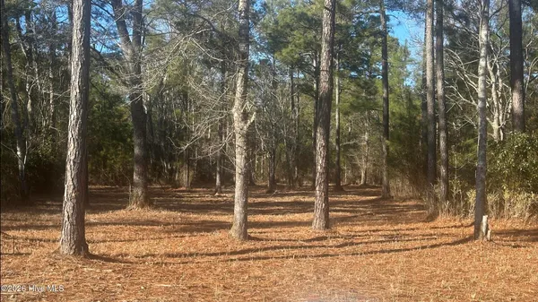 $25,000 | 625 Vandemere Creek Drive, Vandemere, NC 28587