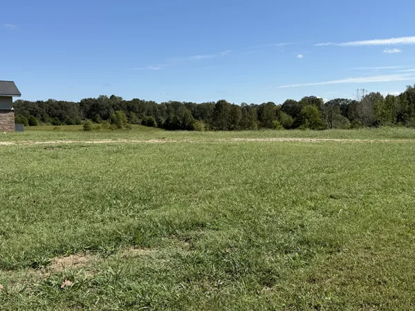 a view of an outdoor space and a yard